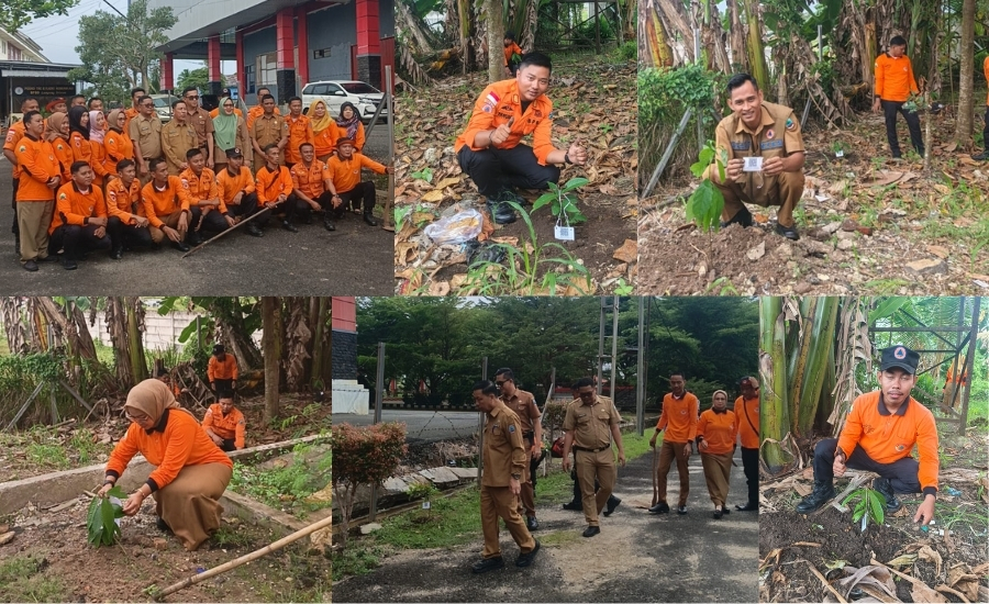 PPPK Paruh Waktu BPBD Lampung Selatan Laksanakan Penanaman Pohon
